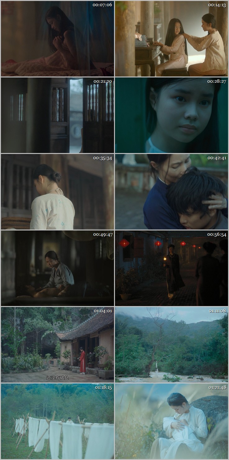 2019Խϻ񽱾Ƭ̫̫/С/졷720P