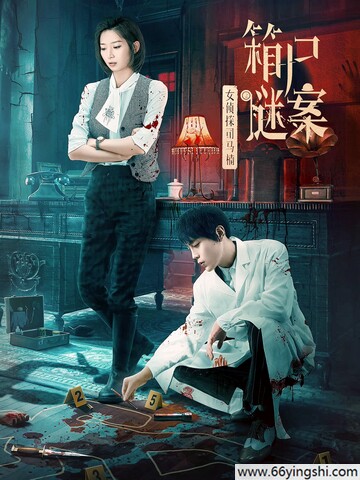 2024年花潼,冯荔军动作片《女侦探司马楠之箱尸谜案》1080P国语中字