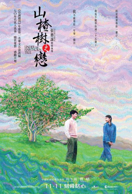 2010年周冬雨,窦骁爱情片《山楂树之恋》蓝光国语中字