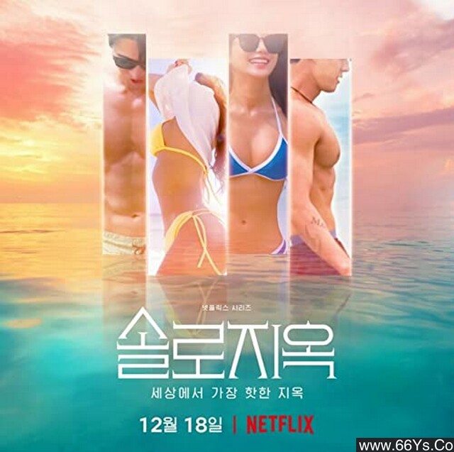 2025年韩国真人秀《单身即地狱》第四季 全12集