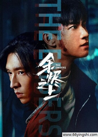 2025年王子奇,孙阳《余烬之上》更新至22集