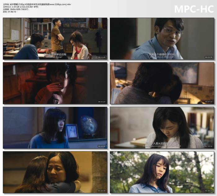 2025年张静初,芦芳生剧情片《命中罪爱》4K国语中字