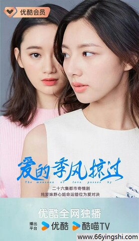 2025年周觅,郭晓婷电视剧《爱的季风掠过》全集