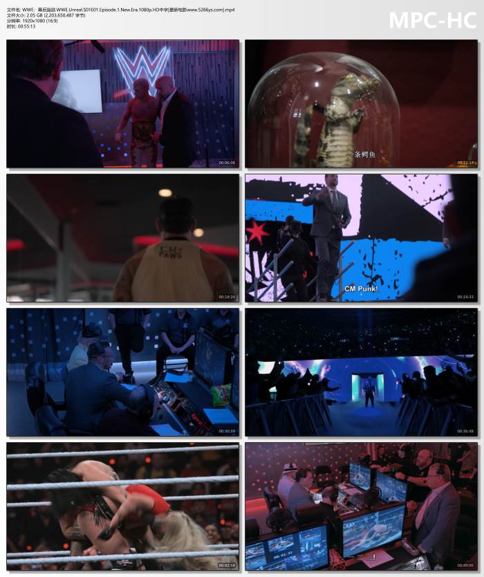 2025年美国纪录片《WWE：幕后追踪》1080P中字
